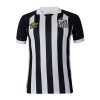 Virallinen Fanipaita Santos FC 2023-24 Vieraspelipaita - Miesten